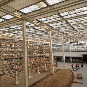 Chất lượng cao lớn Vòng thương mại Nhà kính cho rau phát triển <span class=keywords><strong>Polycarbonate</strong></span> Bìa On Hot Bán khung thép - Product Image 4