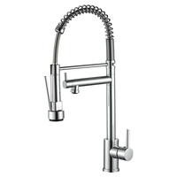 Nouveau robinet de cuisine à ressort en acier inoxydable à deux voies, robinet de cuisine extractible, robinet de cuisine avec purificateur