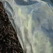 Manta no tejida Anti UV, cubierta para plantas, cubierta de fila flotante, protección contra heladas, invernadero, clima frío, protección para aves, jardín - Product Image 2