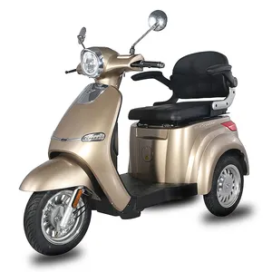 Electric Passenger Tricycle EEC 800W Trike 3-Wheel Electric Mobility Scooter