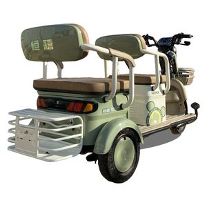 Strong Power 97 Kg <strong>Trike</strong> Triciclo <strong>Camper</strong> for the Public - Product Image 4