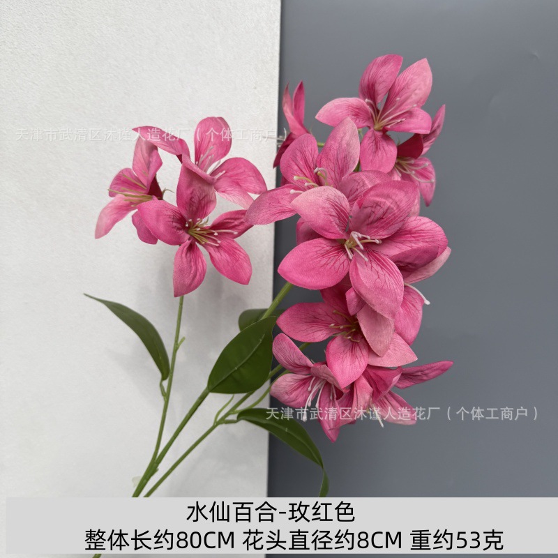 ลิลลี่นาร์ซิสซัส