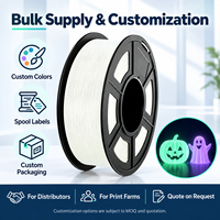 Filament d'imprimante 3D PLA Luminescent Ridory 1,75 mm 1 kg, Absorption Lumineuse FDM pour Décoration Intérieure et Maquettes