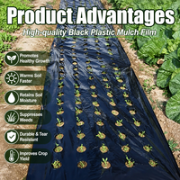 Film de paillage en plastique PP PE noir 0,95x10m, barrière anti-mauvaises herbes pour jardin, couverture de sol, résistant aux UV, pour la plantation de légumes, contrôle des mauvaises herbes