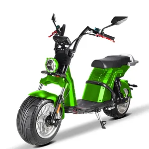 2000W CP-9電動スクーター20Ahリチウム電池2輪電動自転車オートバイCitycoco女性と男性用