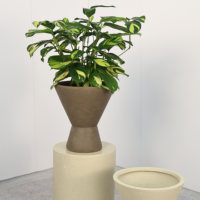 Pot de fleurs en ciment de magnésium nordique, design en forme de bol, sur pied, pour fleurs et plantes vertes, style minimaliste YX138