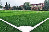 Gazon artificiel en PE écologique et durable, hauteur de la tasse 20-50 mm, pour terrains de sport, terrains de tennis, jardins, volley-ball
