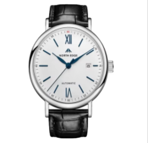 Montre pour homme DF AMOY de haute qualité, acier inoxydable, automatique, sportive, saphir, cuir, boussole IPS - Product Image 2