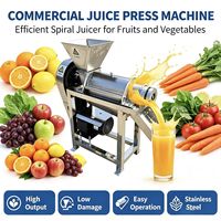 Machine à jus industrielle pour pommes et ananas, extracteur de jus en spirale SUS 304, machine à lait de coco