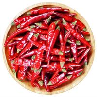 Bumbu Makanan Cabai Merah Kering Utuh Sedikit Pedas Pasokan Grosir Kemasan 25kg Sichuan Cina Dikeringkan dengan Sinar Matahari