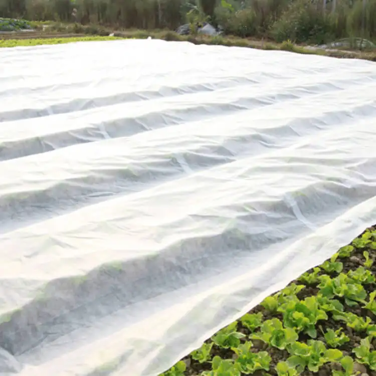 Tecido anti-uv não-tecido, proteção para a capa de planta para controle de ervas daninhas de jardim, tecido não tecido hidrotólico 100% pp 43/44"