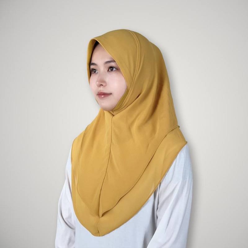 ตามที่แสดง