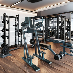 Équipement de gymnastique commerciale MACHINE VERTICALE <span class=keywords><strong>KNESS</strong></span> UP/DIP GYM - Product Image 6