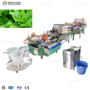 Máquina de procesamiento de frutas y verduras vegetales máquina de lavado y secado