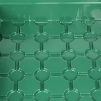 Plateaux de germination pour l'agriculture, plateaux de pépinière en plastique avec bouchons, couvercles, ensemble de plateaux de démarrage pour semis avec dôme