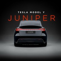 Model Y Juniper Kuru Karbon Arka Spoyler P Stili Araba Arka Bagaj Arka Kanat Spoyler