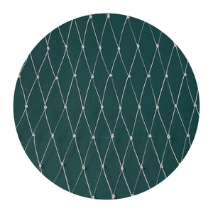 Легкая УФ-стабилизированная сетка из нейлона/ПНД для защиты от птиц, сетка для защиты урожая виноградных угодьях и ягодных фермах - Product Image 3