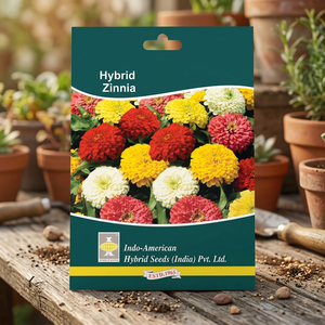 IAHS ZINNIA ZAHARA MIX เมล็ดพันธุ์ดอกไม้พรีเมียม 15 เมล็ด หลากสี - Product Image 2