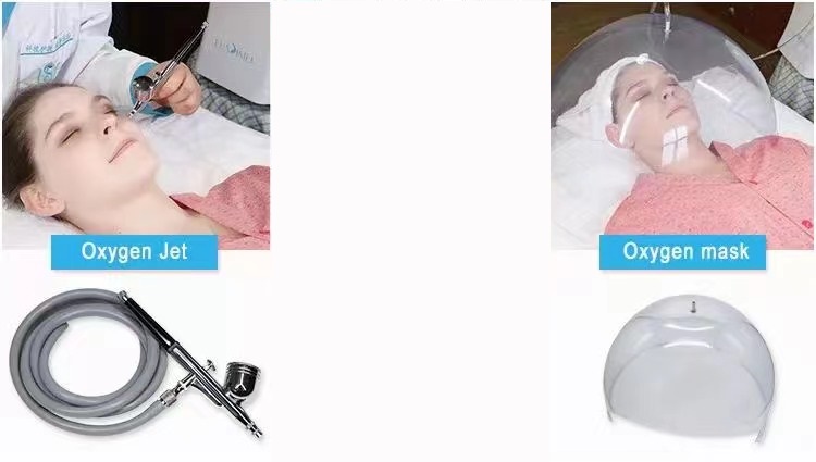 Korea Oxgyen Dome Face Care Machine Skin Care Equipment With Pdt Led Light Therapy Skin Rejuvenation Wrinkle Removal