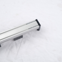 Module linéaire à petite résonance opérationnelle, options de vis à course multiple, en aluminium et acier, haute précision 0,03 mm, 10 kg