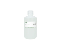 Kit ELISA 5-mC ADN pour la détection quantitative des niveaux de méthylation globale de l'ADN dans les cellules et les tissus