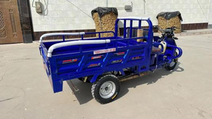Triciclo de 200cc Más Vendido, Carro de Tres Ruedas con Carrocería Abierta/Cerrada para 2 Pasajeros - Product Image 6