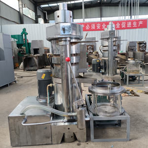 Presse à huile hydraulique automatique Dingsheng 260 neuve pour sésame, noix, amandes - Capacité de pressage à froid et à chaud, garantie 1 an - Product Image 5