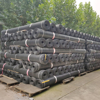Géogrille plastique biaxiale haute résistance personnalisée en usine, anti-corrosion, géogrille étirée pour travaux de construction routière