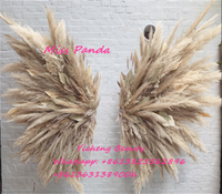 Sayap Malaikat Pampas Yicheng Beauty Harga Murah, Latar Belakang Sayap Pampas, Sayap Bulu Malaikat Inggris Harga Murah Grosir