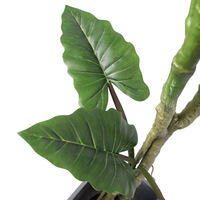 Plante artificielle en pot Calathea arc-en-ciel en plastique pour extérieur, intérieur, bureau, jardin, décoration de la maison, plantes artificielles