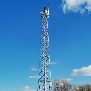 Torre de Vigilancia de Acero de Altura Personalizada, Torre de Monitoreo Antiviento, Torre de Observación de Seguridad para Exteriores - Product Image 5