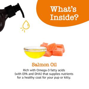 निजी लेबल त्वचा कोट स्वास्थ्य तरल तेल पूरक जंगली अल्सर कुत्तों और बिल्लियों के लिए - Product Image 4