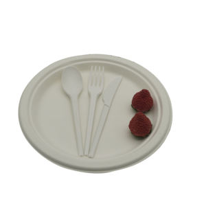 Platos de Papel de Caña de Azúcar Biodegradables de Alta Calidad de 9 Pulgadas, Ecológicos y Desechables para Restaurantes y Bodas - Product Image 4