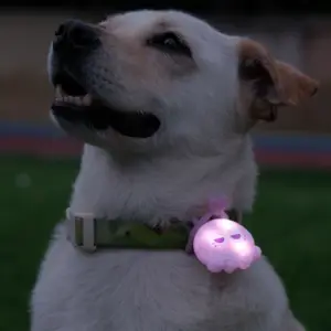 Laroo2024新しいデザインかわいいスタイルの犬製品ペットショップすべてのサイズの犬のためのLED DOG COLLAR LIGHTスーツ