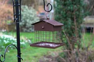 Jh-mech açık kuş besleyici ağır drenaj deliği eğimli çatı formu kolay kaldırmak duvara monte açık kuş kafesi asılı besleyici - Product Image 2