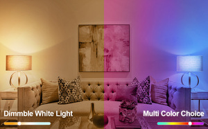 Bombilla Inteligente Wifi RGB E26, Bombilla Multicolor que Cambia de Color, Daybetter - Product Image 5