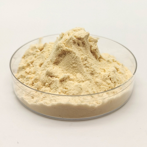 Yüksek kaliteli % 100% doğal Salep orkide özü tozu Dendrobium özü orkide kurutulmuş kök tozu - Product Image 4