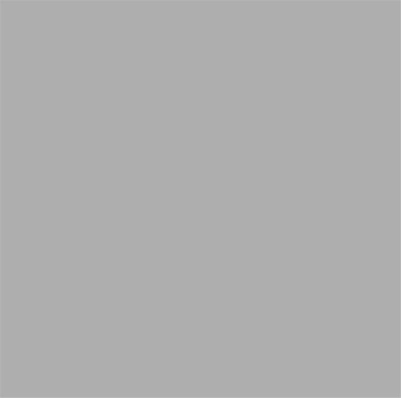 Sliver