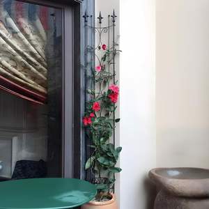 Arco <span class=keywords><strong>de</strong></span> Metal para Plantas Trepadoras, Soporte <span class=keywords><strong>de</strong></span> <span class=keywords><strong>Enrejado</strong></span> para Plantas en Maceta <span class=keywords><strong>de</strong></span> Interior - Product Image 1