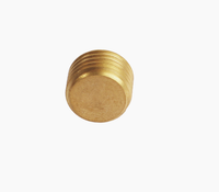 1/8 1/4 3/8 1/2 3/4 1 pouce bouchon à vis conique pour eau air carburant Pipeline Pack Bsp bouchon en laiton 1/8 NPT joint affleurant bouchon de tuyau en laiton