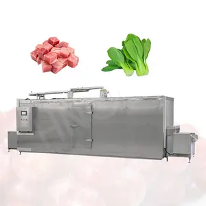 Hazır hazır yemek için HNOC küçük ekonomik ekmek Berry kompakt Iqf dondurma tünel makinesi
