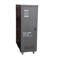 Meilleure performance TNS-N 40KVA régulateur de stabilisateurs de tension automatique triphasé AC 380V