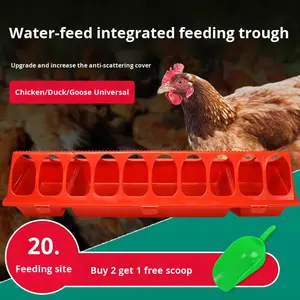 Mangeoire et <span class=keywords><strong>abreuvoir</strong></span> intégrés pour volailles Wanqing, nouveau modèle <span class=keywords><strong>rectangulaire</strong></span> en <span class=keywords><strong>plastique</strong></span>, bac d'alimentation pour canards et oies, modèle haut WQ-01, 1 an - Product Image 5