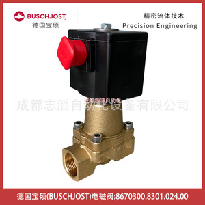 บุชจอสท์ วาล์วแม่เหล็กไฟฟ้า 1/2 นิ้ว AC 230 V แบบมุมไอเสียขวา - Product Image 2