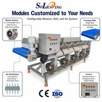 Hoog rendement automatische groente-luchtdroogmachine blaasdroger ontwatering voor fruit, salade, bladgroenten, koolverwerking