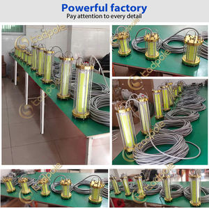 Lampe de pêche submersible 600W 12V blanche et bleue IP68 316L, lampe de pêche en <span class=keywords><strong>eau</strong></span> profonde, lampe de pêche étanche - Product Image 4