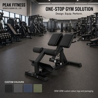 Chaise romaine la plus vendue pour salle de sport commerciale, banc d'extension dorsale, machine d'entraînement corporel, banc romain