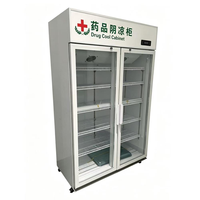 Vitrine réfrigérée pour laboratoire médical avec portes vitrées et étagères réglables, idéale pour hôpitaux, pharmacies et laboratoires
