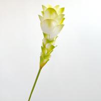 Bunga Calla Lily Buatan Tangan Dekorasi Rumah Gaya Boho Kembali ke Sekolah MOQ Rendah DIY PU Rangkaian Realistis