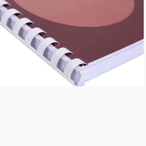 21 Vòng <span class=keywords><strong>PVC</strong></span> Xoắn Ốc Nhựa Ràng Buộc Lược - Product Image 2